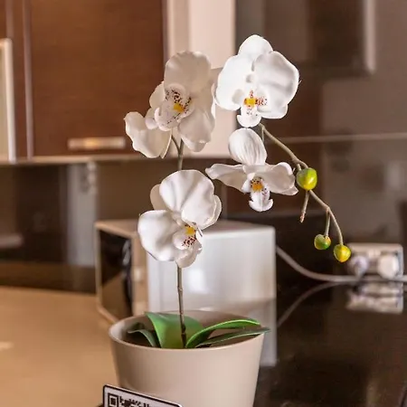 Stunning 3br Marina View In With Balcony By 360 Estates * Pietà