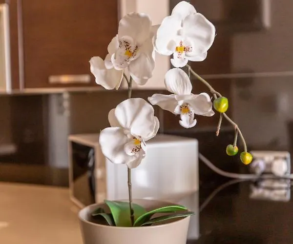 Stunning 3br Marina View In With Balcony By 360 Estates * Pietà